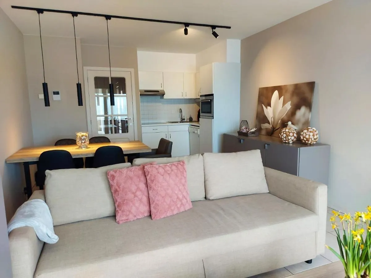 Appartement met zeezicht en verwarmd zwembad Oostende België